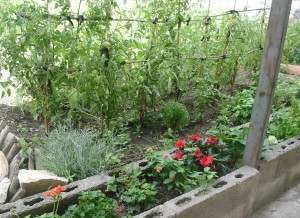 activité jardinage