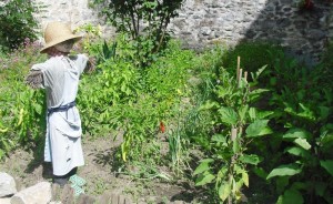 Potager