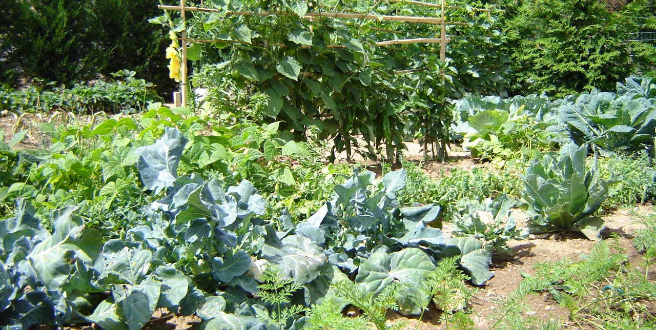 Jardin et portager