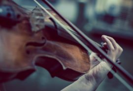 Les Projets artistiques et culturels